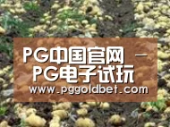 种植基地八(图1)