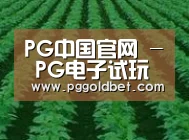 种植基地六