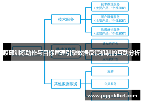 腹部训练动作与目标管理引擎数据反馈机制的互动分析