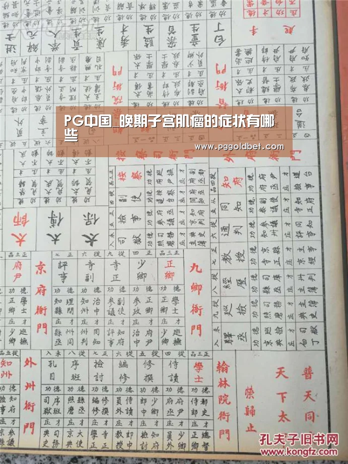 PG中国
