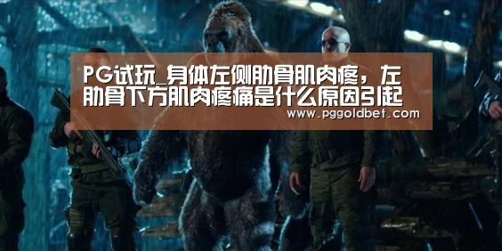 PG中心