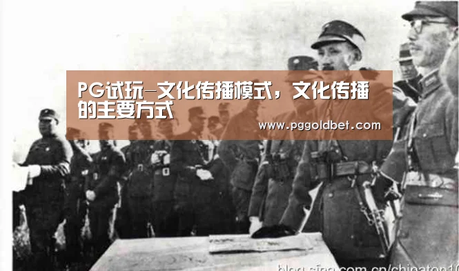 PG试玩-文化传播模式,文化传播的主要方式(图4) PG中心